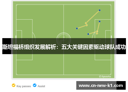 斯坦福桥组织发展解析：五大关键因素驱动球队成功