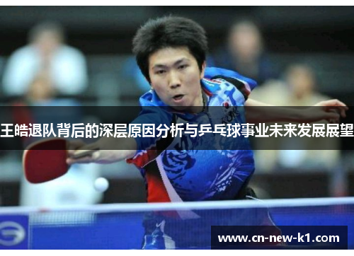 王皓退队背后的深层原因分析与乒乓球事业未来发展展望