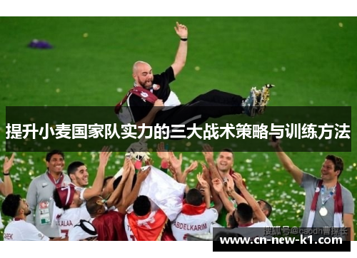 提升小麦国家队实力的三大战术策略与训练方法 提升小麦国家队实力的三大战术策略与训练方法