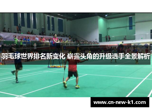 羽毛球世界排名新变化 崭露头角的升级选手全景解析
