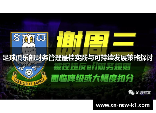 足球俱乐部财务管理最佳实践与可持续发展策略探讨