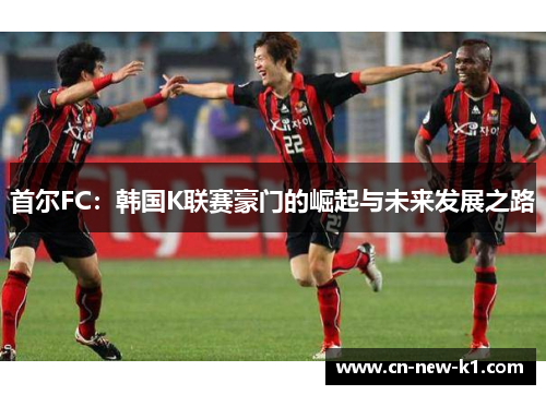 首尔FC：韩国K联赛豪门的崛起与未来发展之路