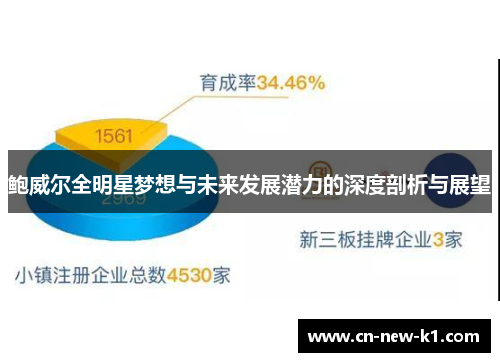 鲍威尔全明星梦想与未来发展潜力的深度剖析与展望